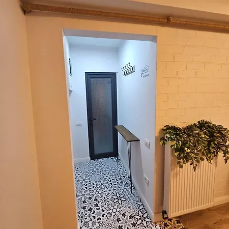 Confortabil Self Check-in Apartment Timisoara