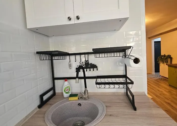 Confortabil Self Check-in Apartment Timisoara