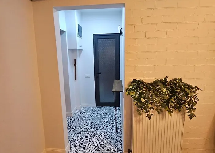 Confortabil Self Check-in Apartment *